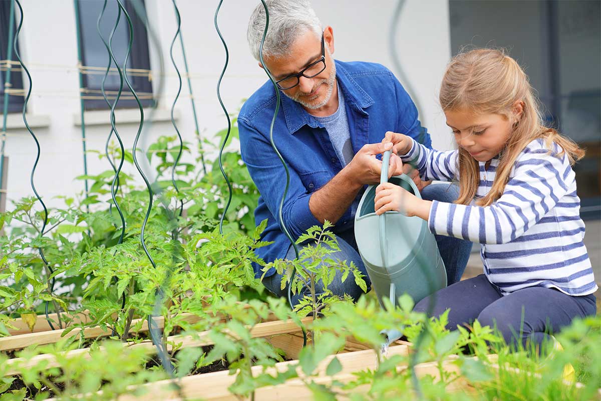 Décoration jardin d’une maison neuve + potager