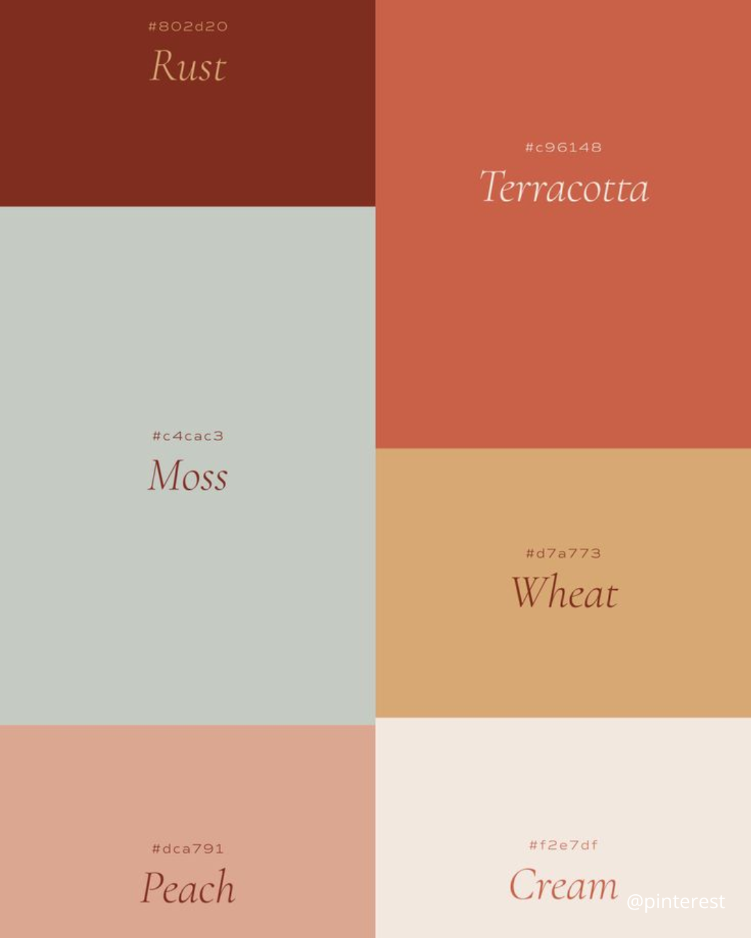 Palette de couleur