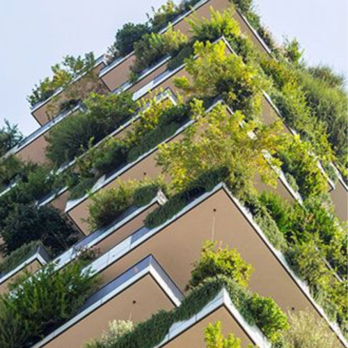 Visuel architecture avec végétation