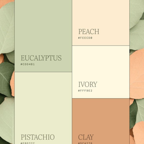 article_couleurs-tendances_constructeur-maison.com